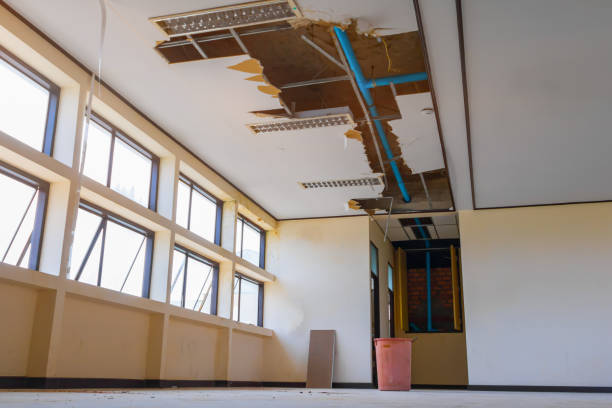 Best Flooded house restoration  in Medina, TN