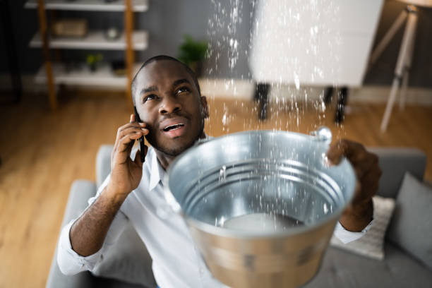 Best Sewage cleanup and water damage restoration  in Medina, TN