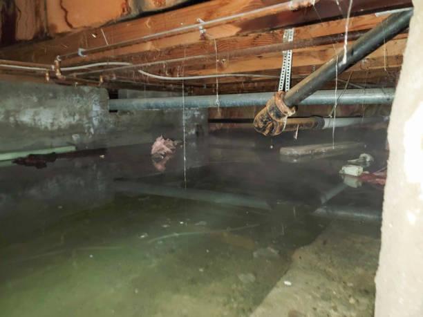 Best Water damage restoration near me  in Medina, TN