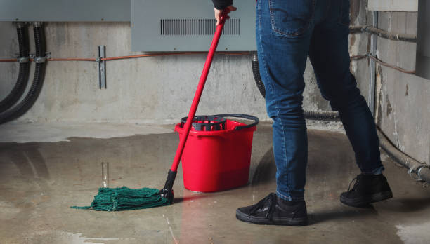 Best Fire Damage Restoration  in Medina, TN