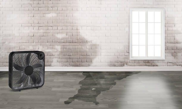 Best Flood restoration services  in Medina, TN