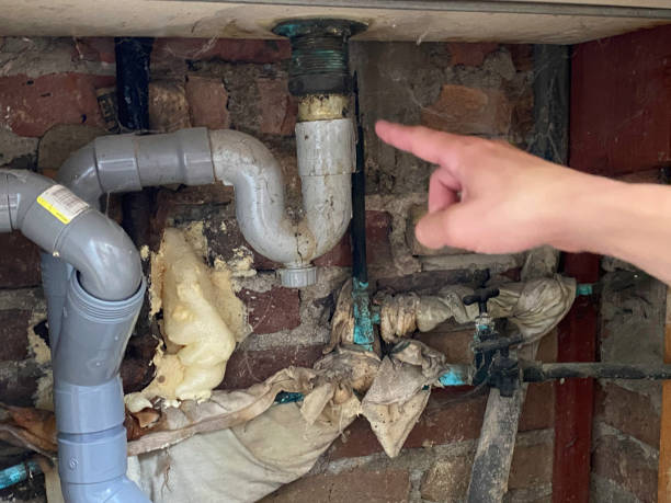 Best 24-hour water damage restoration  in Medina, TN