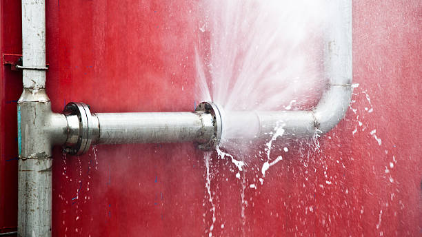 Best Professional water damage repair  in Medina, TN