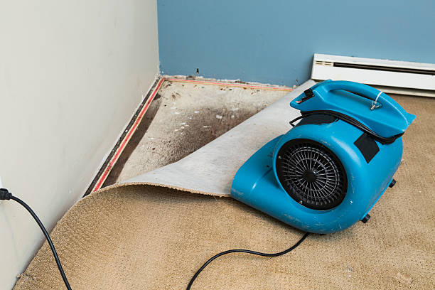 Best 24-hour water damage restoration  in Medina, TN